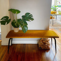 les-gambettes-annie-bench-130x37cm-yellow-ochre-velvet-seat-black-legs-lgam-annie130velocrenoir