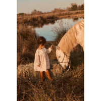 louise-misha-dress-arinola-printed-corduroy-cream-carnation-vale-clothing-wear-fashion-mish-w26s0178-ccv-04y