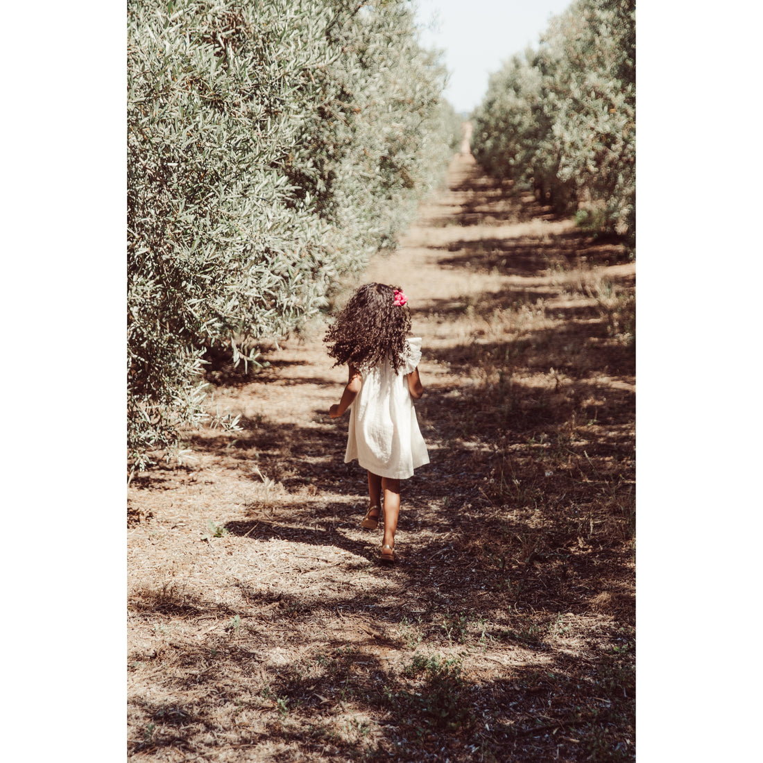 louise-misha-dress-shantiya-embroidered-cotton-voile-cream-mish-s25s0146-cream-12m