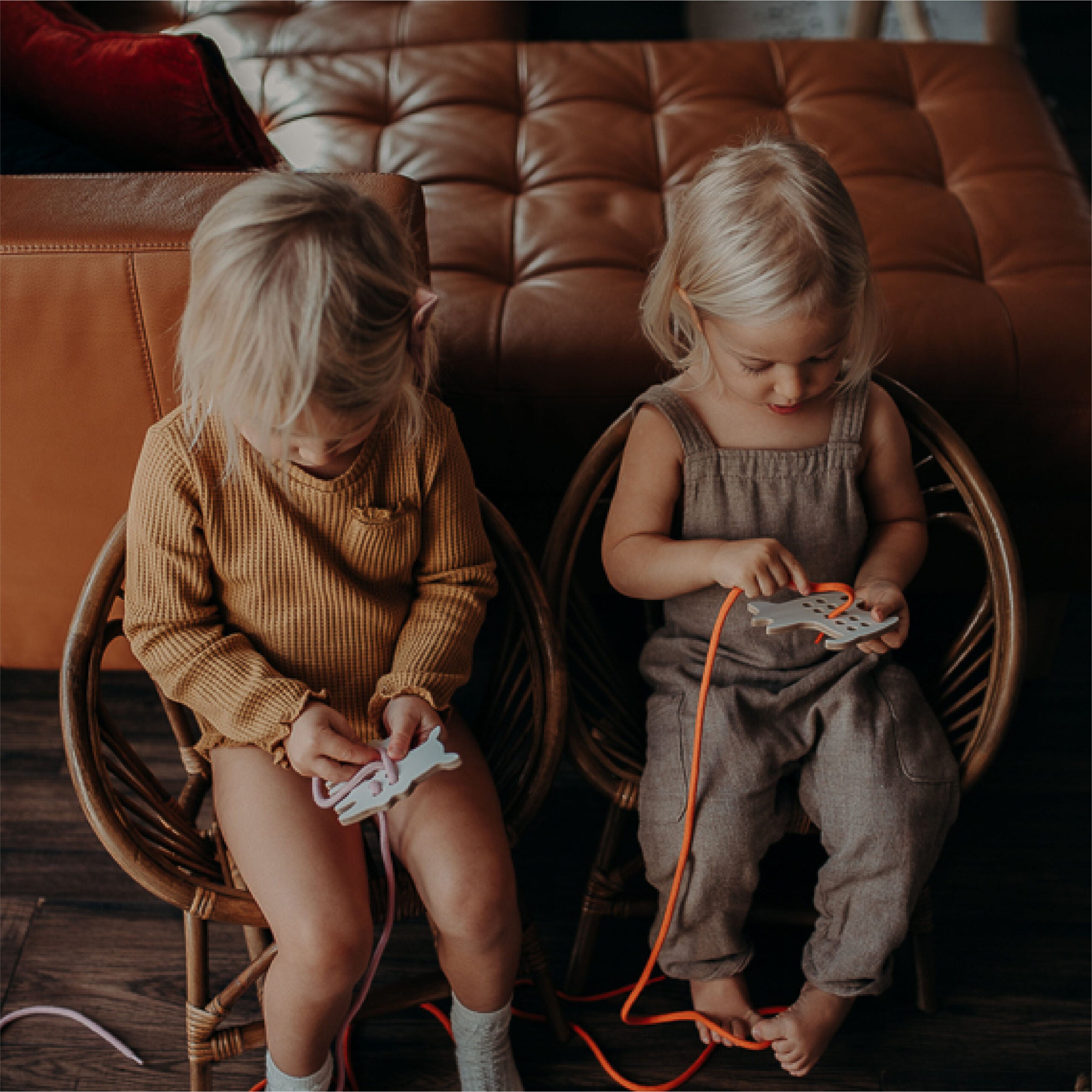 milin-dog-miln-59004929