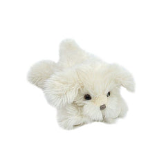 mon-ami-sugar-maltese-puppy-mona-st1127