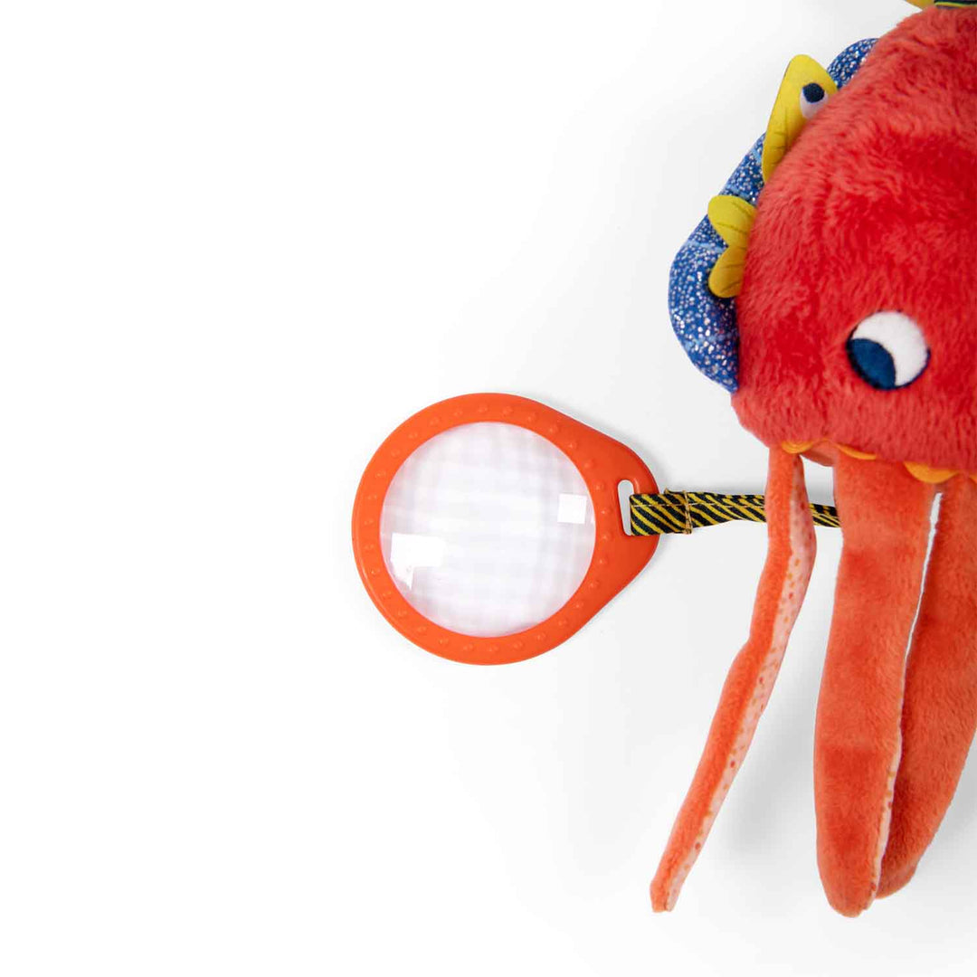 moulin-roty-les-adventures-de-paulie-activity-cuttlefish-h-30cm-moul-676082