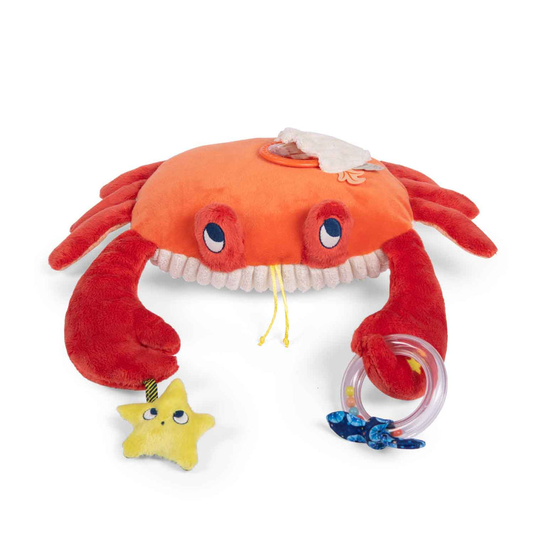 moulin-roty-les-adventures-de-paulie-large-activity-crab-l-34cm-moul-676077