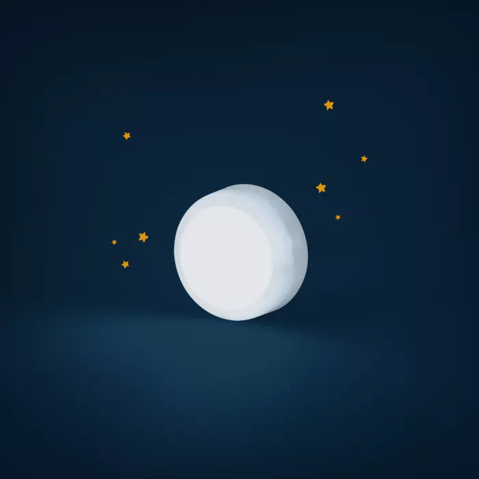 moulin-roty-les-adventures-de-paulie-light-up-sea-lion-moul-676041