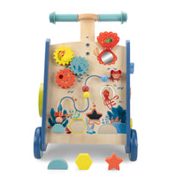 moulin-roty-les-adventures-de-paulie-walking-activity-trolley-play-toy-moul-676388