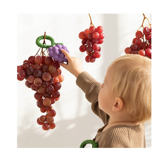 oli-_-carol-grape-rattle-toy-_-teether-olic-l-rattle-grape