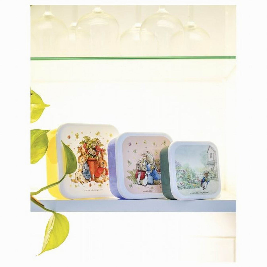 petit-jour-paris-set-of-3-lunch-boxes-peter-rabbit-kitchen-pjp-bp994t-03