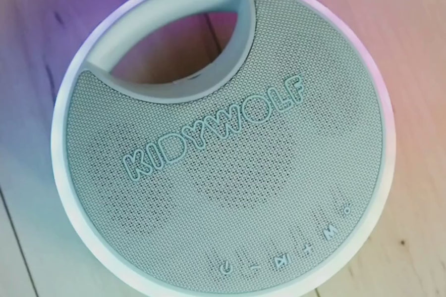 Kidywolf Karaoke Speaker with 2 Microphones