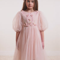 tutu-du-monde-charmed-tulle-dress-hazel-pink-tutu-tdm8053-hp-y02