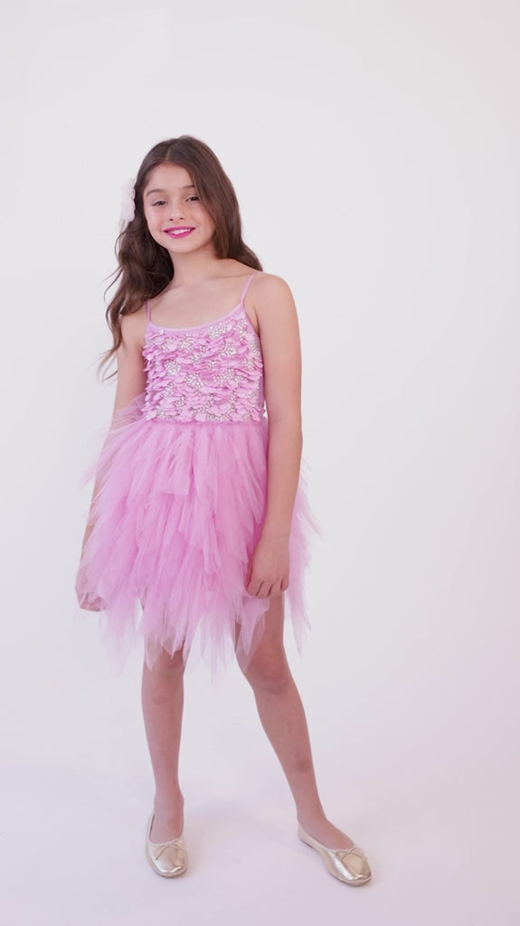 Tutu du Monde L'artiste Tutu Dress Lilac Chiffon – Petit Bazaar