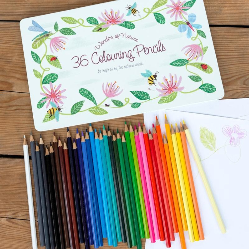 rex-36-colouring-pencils-in-a-tin-wonders-of-nature-rex-30690