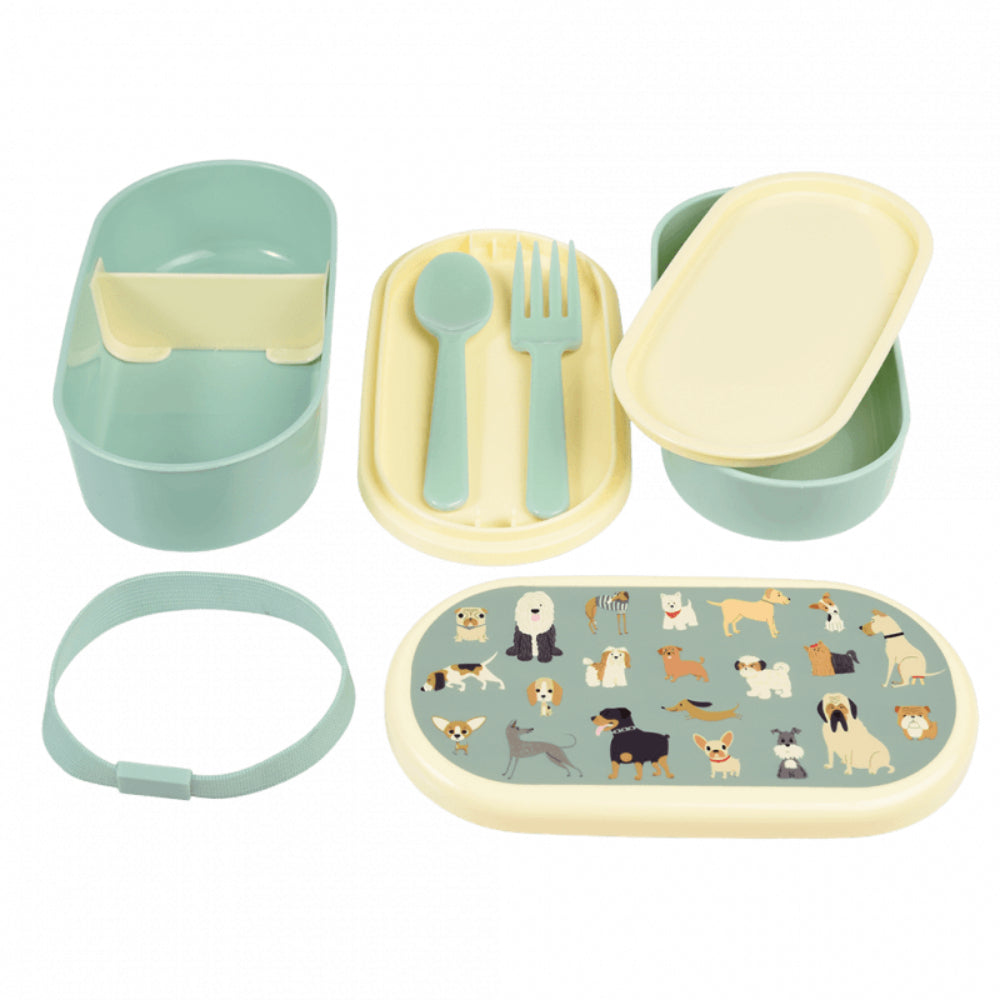 rex-childrens-bento-box-best-in-show-rex-29483