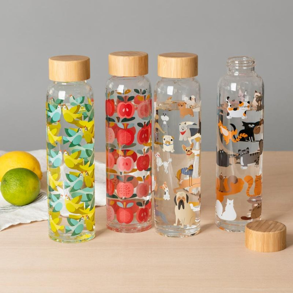 rex-glass-water-bottle-420ml-best-in-show-rex-29131