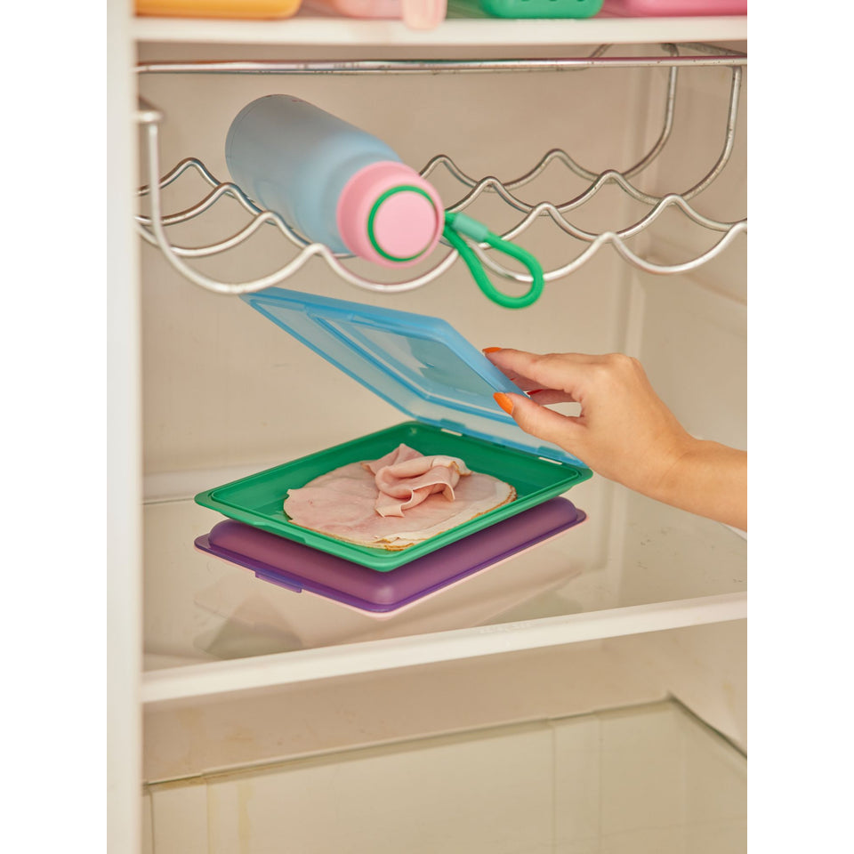 rice-dk-food-keeper-in-color-green-with-blue-lid-470ml-rice-fbox-keepgb