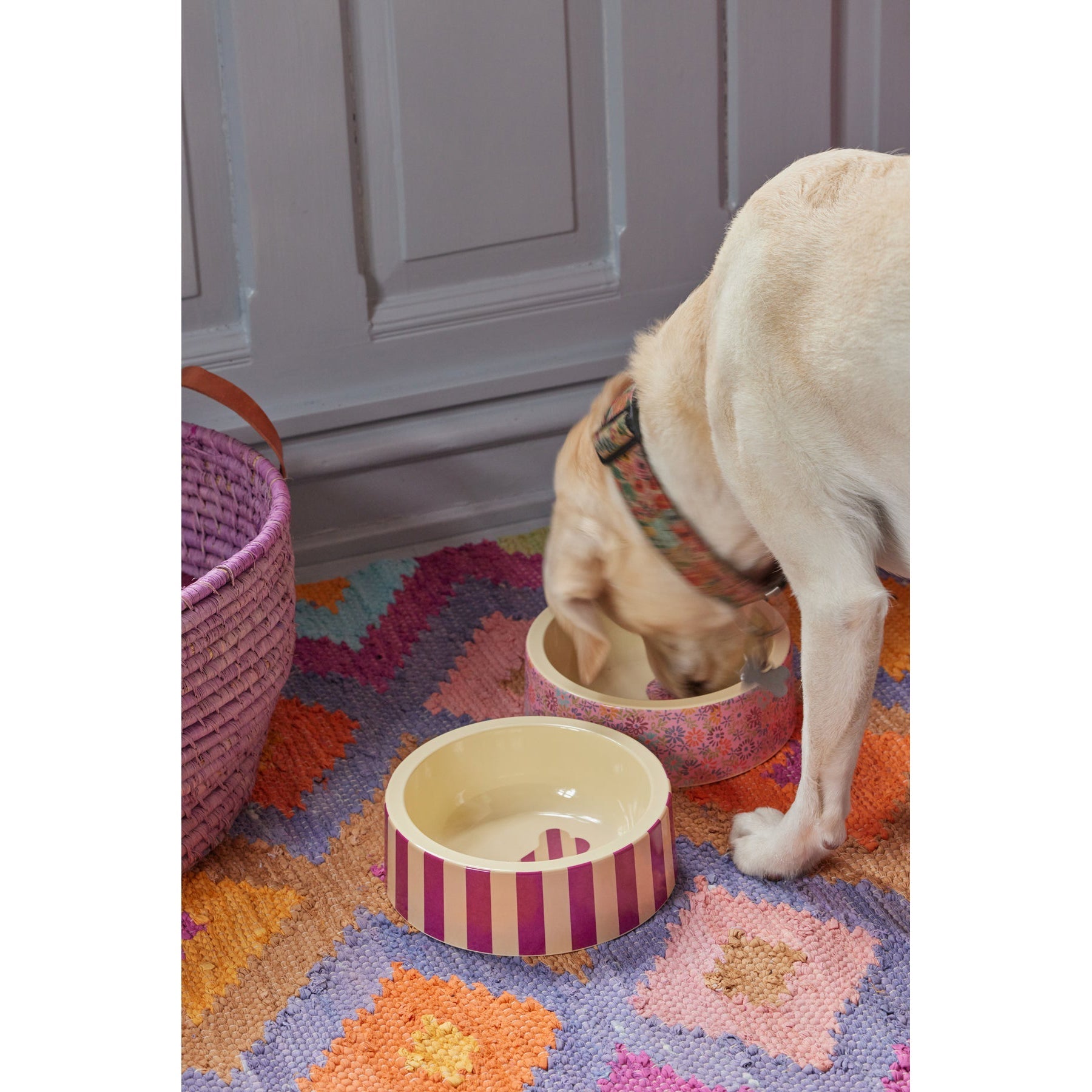 rice-dk-melamine-pet-bowl-for-food-and-water-striped-bone-rice-mepet-bone