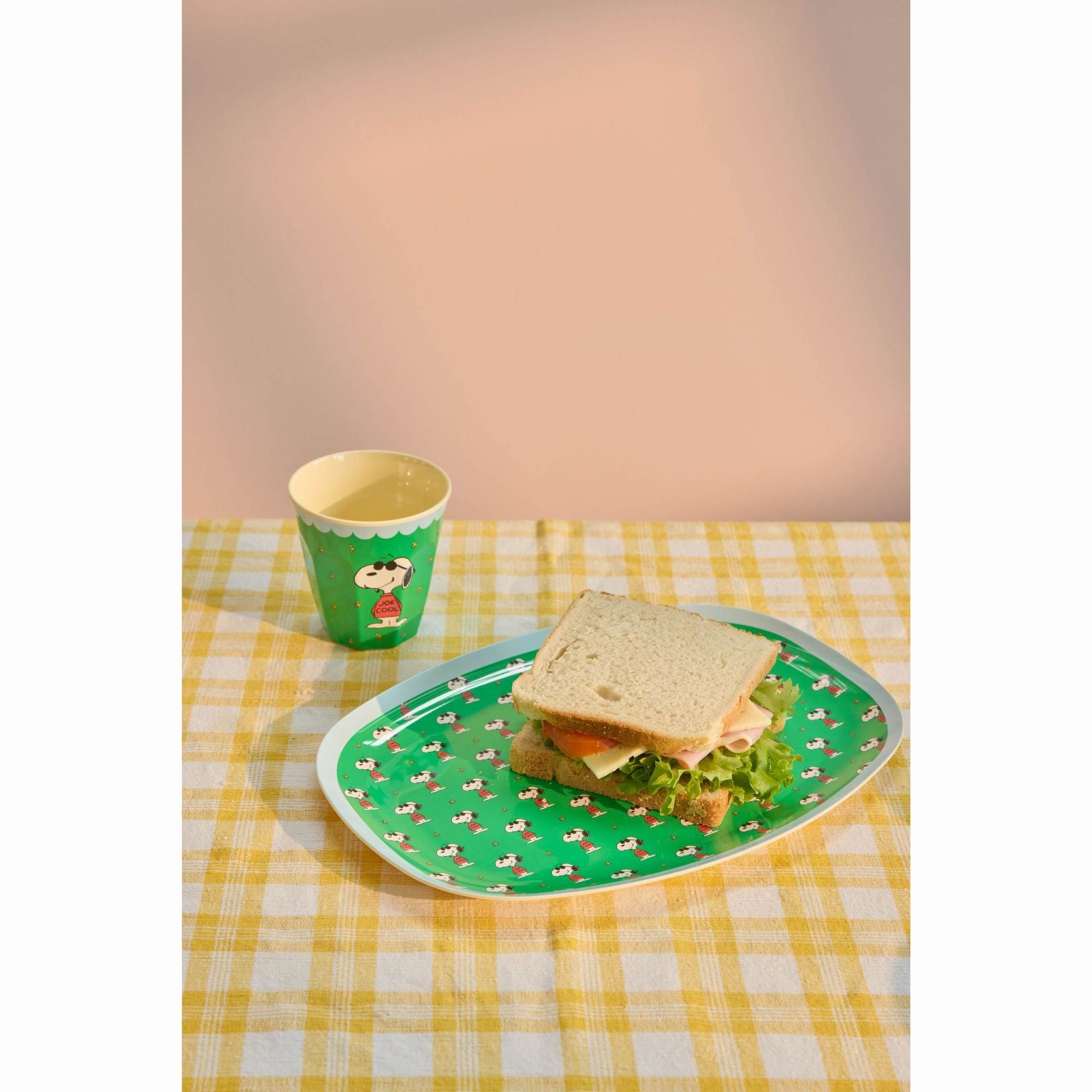 rice-dk-melamine-rectangular-plate-with-green-snoopy-print-kitchen-rice-melpl-snoopg-02