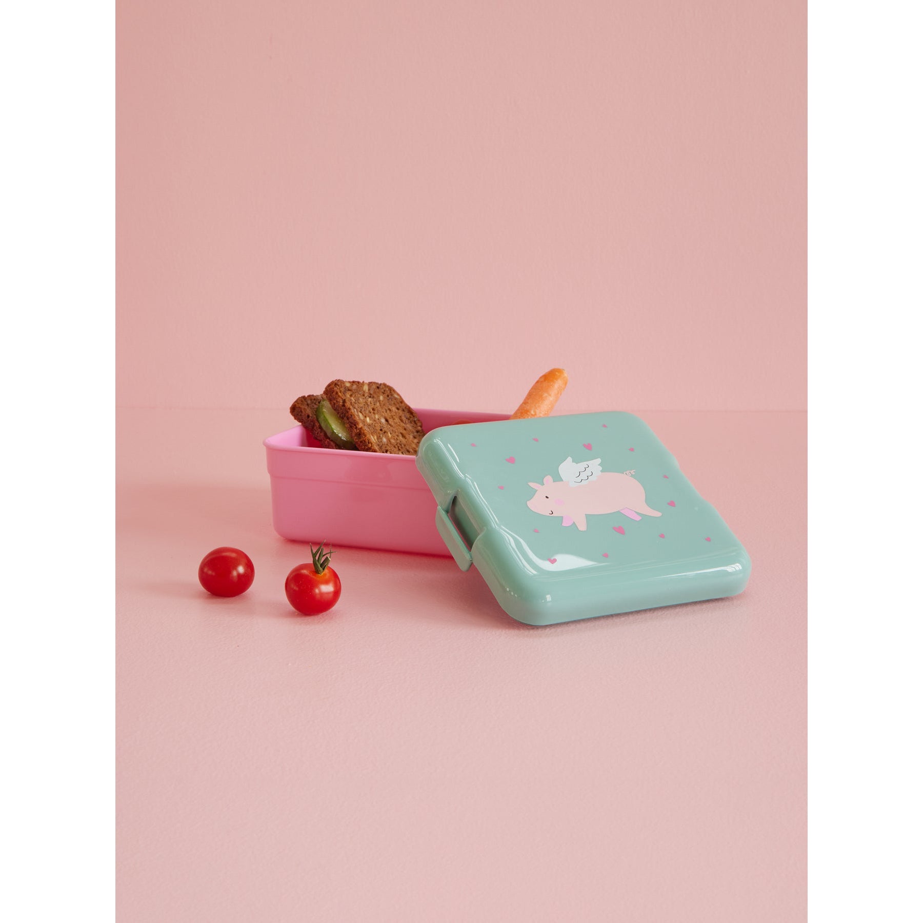 rice-dk-small-lunchbox-with-flying-pig-print-rice-bxlun-flyp