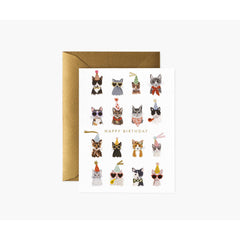 rifle-paper-co-cool-cats-birthday-cards-boxed-set-of-8-rifl-gcb077-b