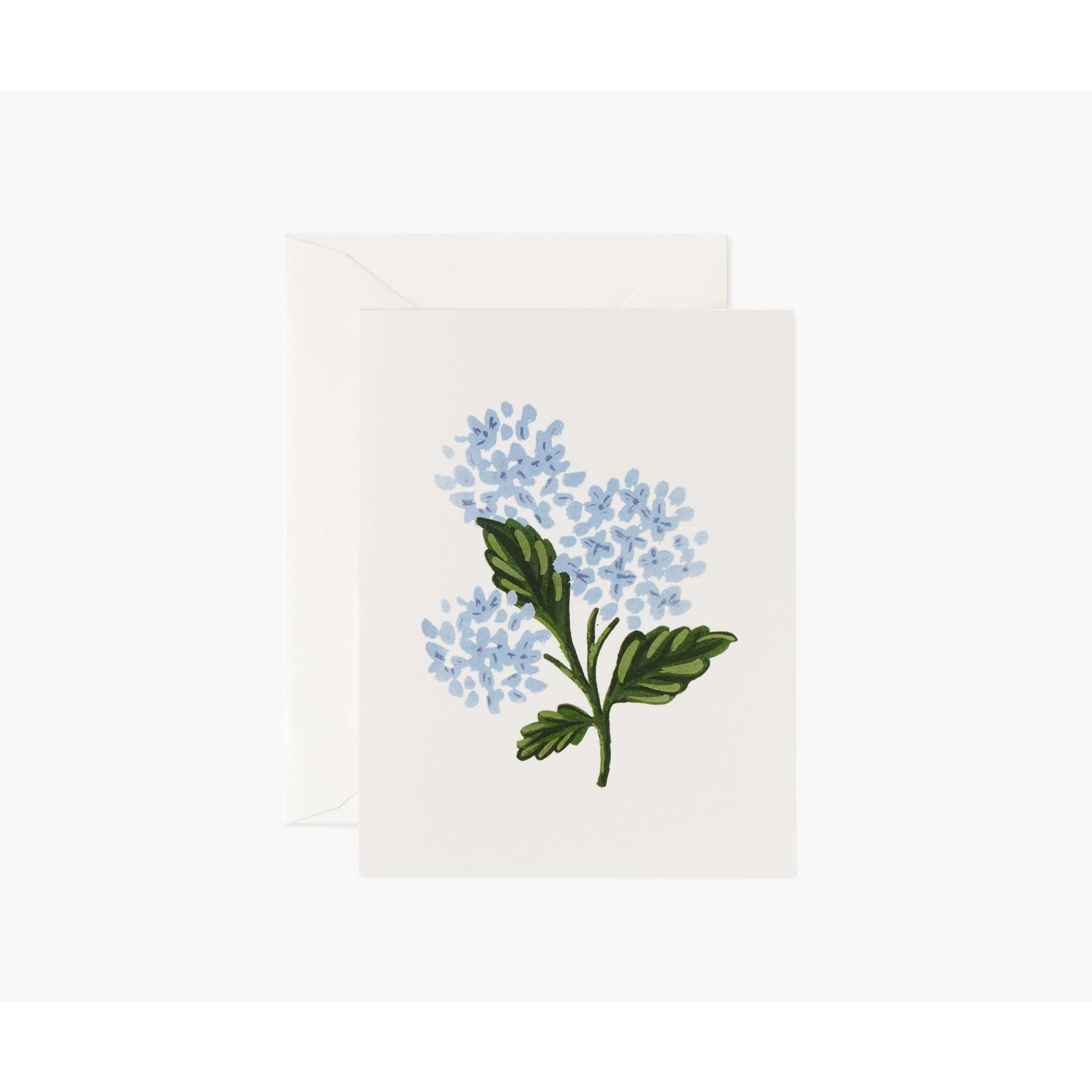rifle-paper-co-hydrangea-bloom-card-rifl-gcm186