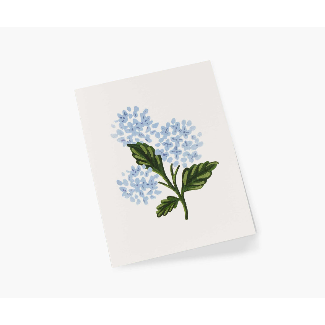 Blue Hydrangeas | McGaw Graphics - View #8