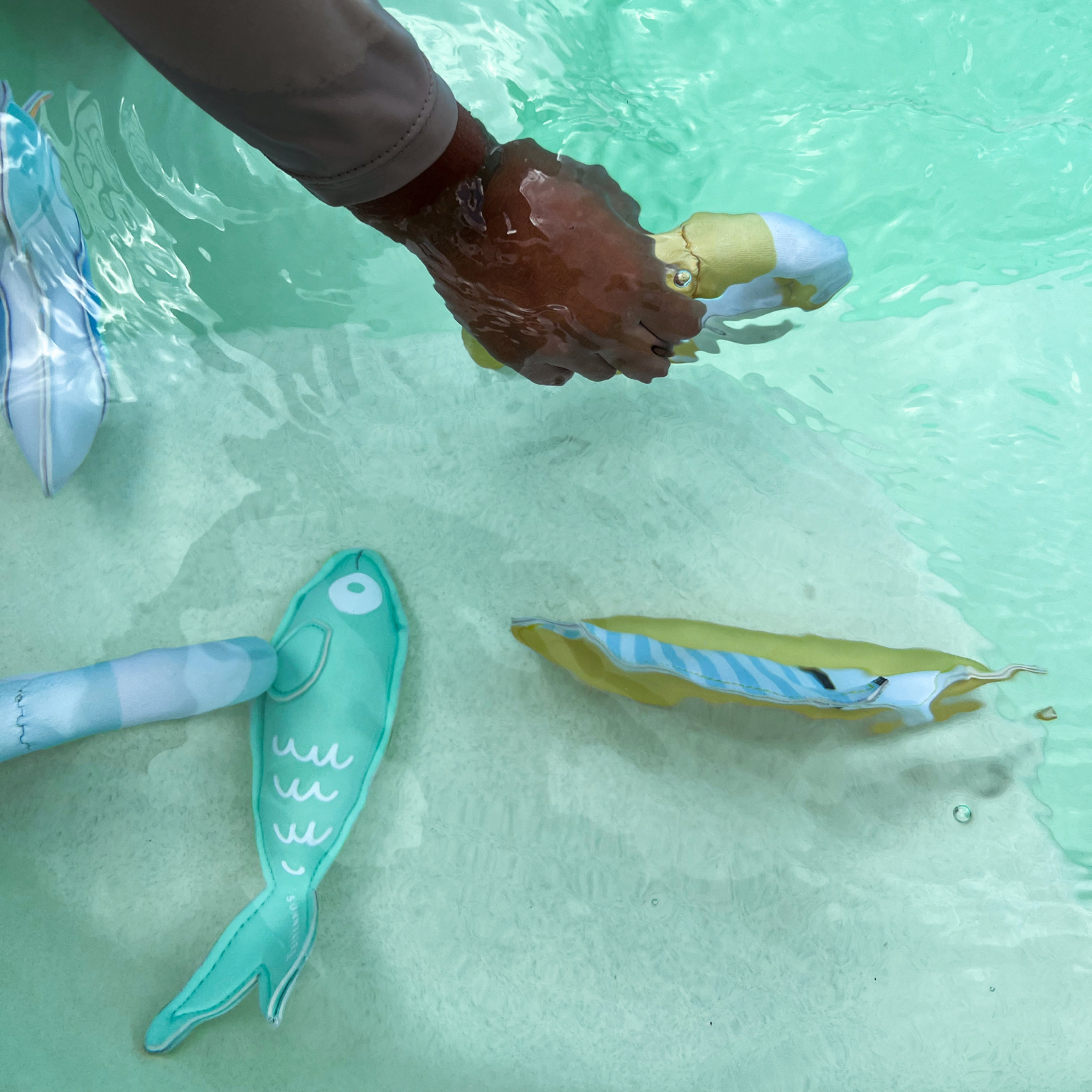 sunnylife-dive-buddies-sid-the-seagull-multi-set-of-6-sunl-s51dbbl6