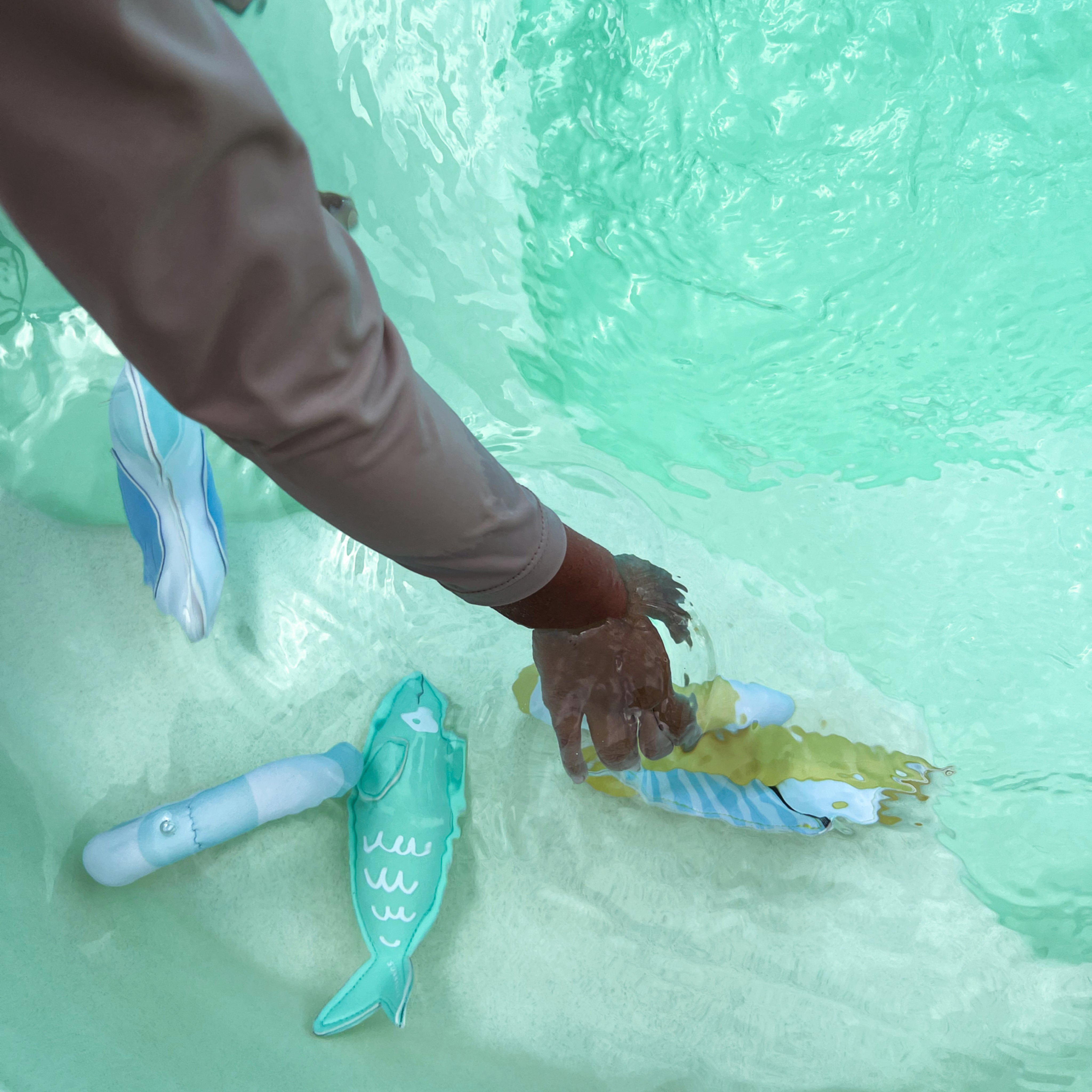 sunnylife-dive-buddies-sid-the-seagull-multi-set-of-6-sunl-s51dbbl6