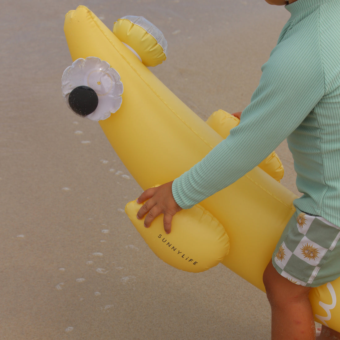 sunnylife-kids-inflatable-noodle-finn-the-fish-multi-set-of-2-sunl-s51knmul