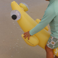 sunnylife-kids-inflatable-noodle-finn-the-fish-multi-set-of-2-sunl-s51knmul