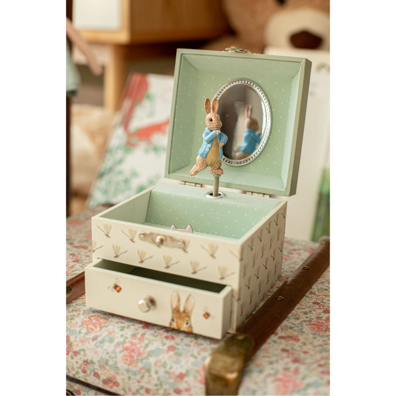 trousselier-musical-cube-box-peter-rabbit-dragonfly-trou-s20860