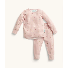 ergopouch-pyjamas-2-piece-set-long-sleeve-0-2-tog-daisies-clothing-wear-fashion-ergo-zeppj-0-2tls02yrda23