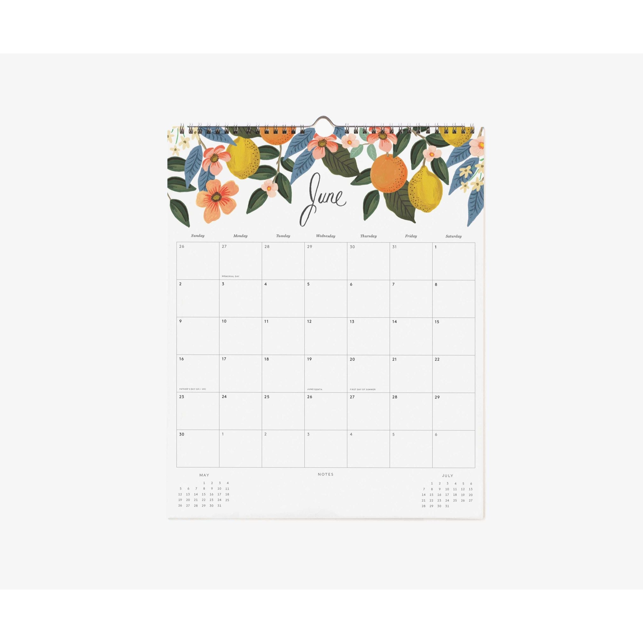 rifle-paper-co-2024-peacock-appointment-calendarhome-decor-stationery-rifl-cal082