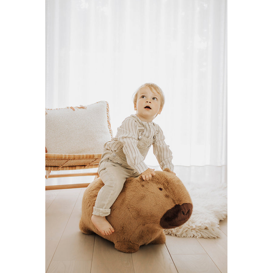 wild-soft-soft-bouncy-capybara