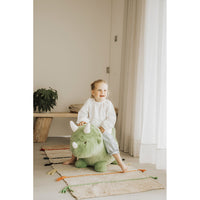 wild-soft-soft-bouncy-dino