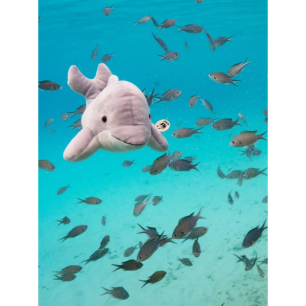 wwf-dolphin-grey-25cm-10-wwf-15176036