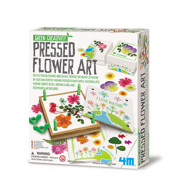 4m-green-creativity-pressed-flower-art- (1)