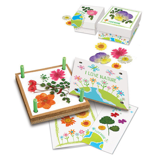 4m-green-creativity-pressed-flower-art- (3)