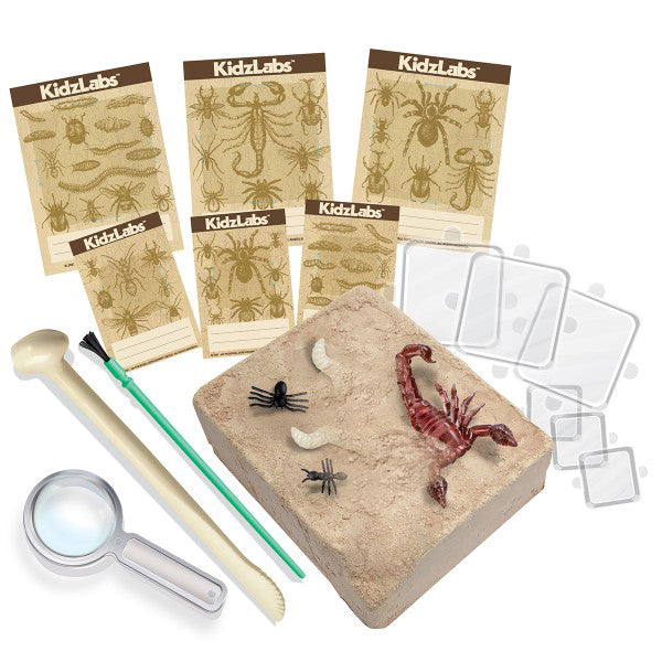 4m-kidz-labs-creepy-crawly-digging-kit-4m-3397- (3)