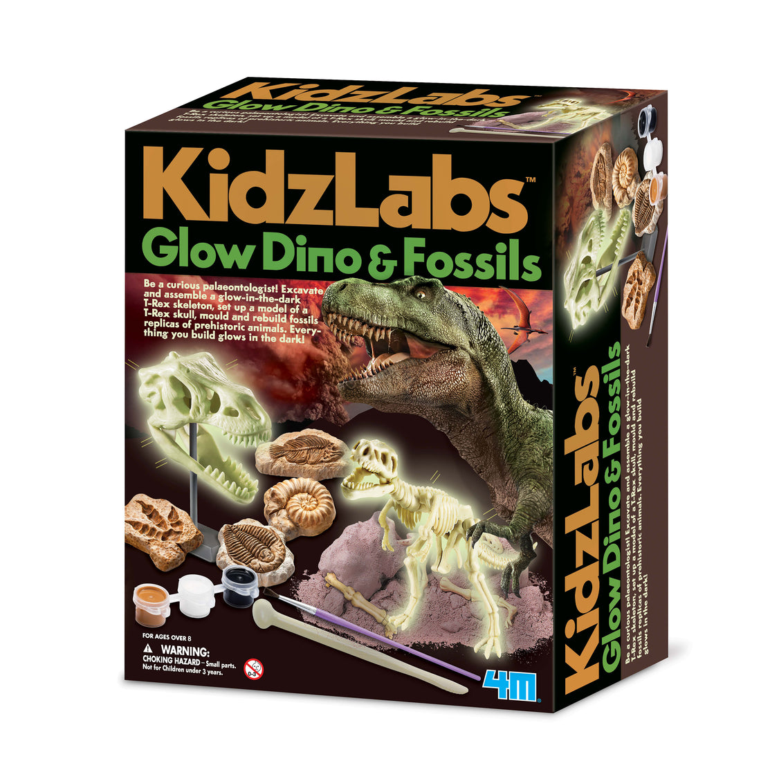 4m-kidz-labs-glow-dino-&-fossils- (1)