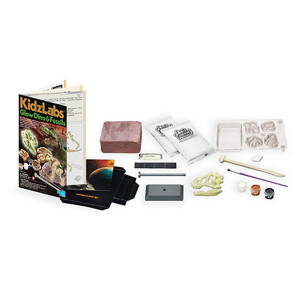 4m-kidz-labs-glow-dino-&-fossils- (3)