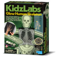 4m-kidz-labs-glow-human-skeleton- (1)