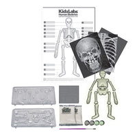 4m-kidz-labs-glow-human-skeleton- (6