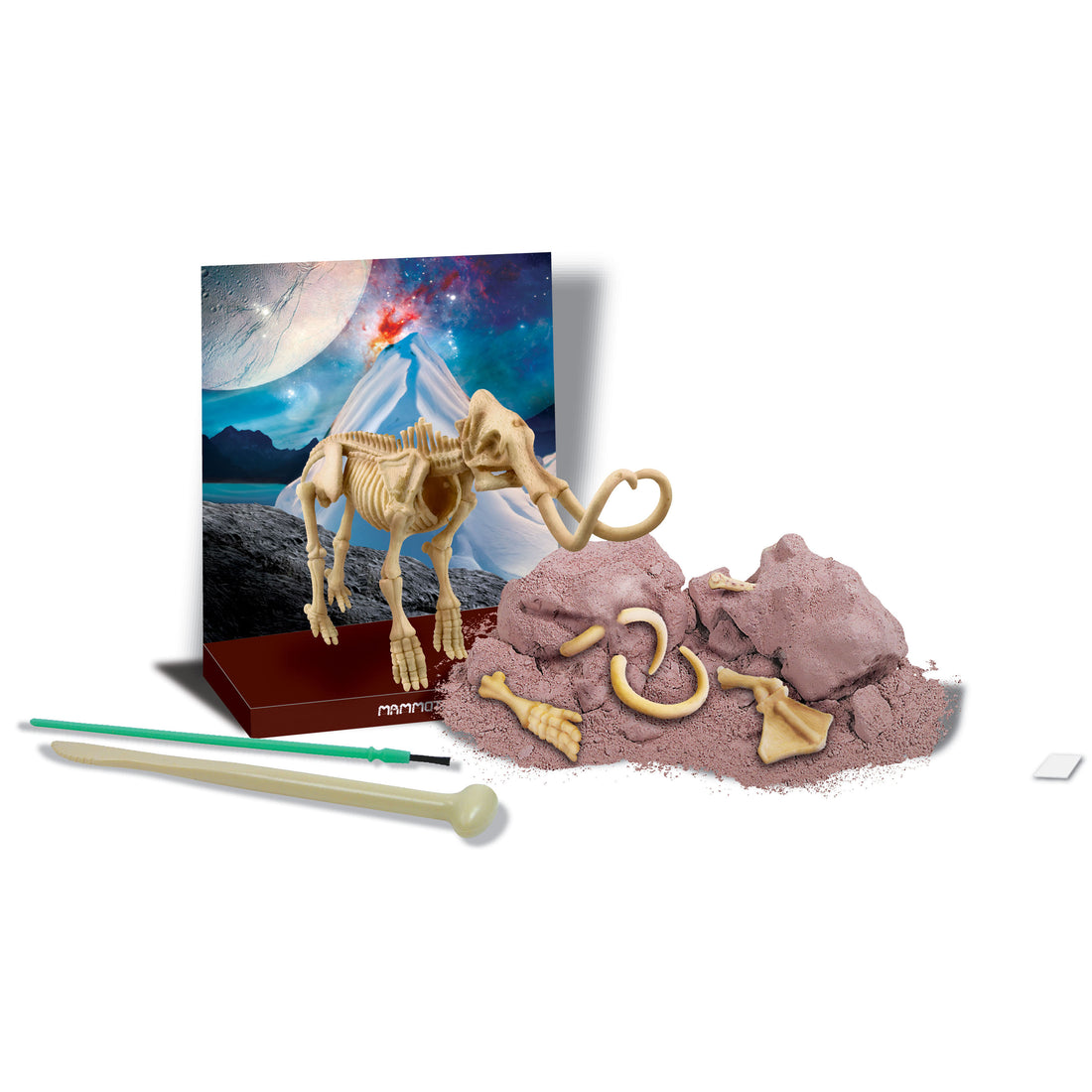 4m-kidz-labs-mammoth-skeleton- (2)