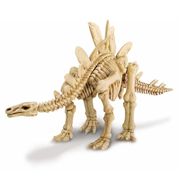 4m-kidz-labs-stegosauras-skeleton-excav-kit- (3)