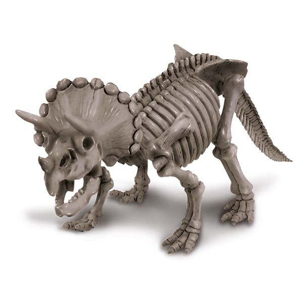 4m-kidz-labs-triceratops-skeleton-excav-kit-4m-3228- (2)