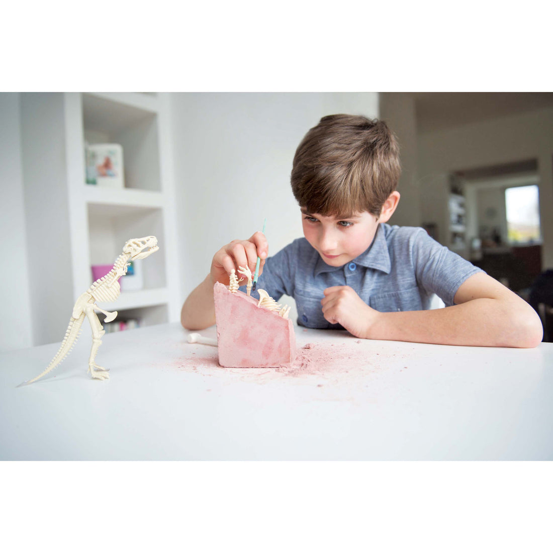 4m-kidz-labs-tyrannosaurus-rex-kit- (4)