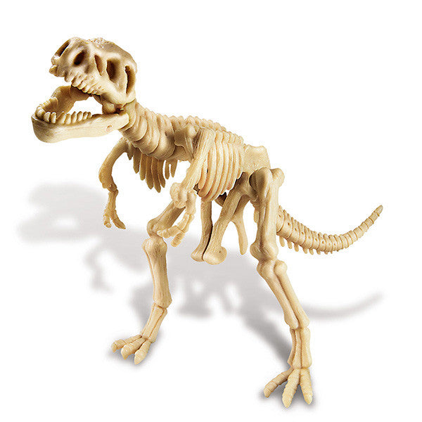 4m-kidz-labs-tyrannosaurus-rex-kit- (3)
