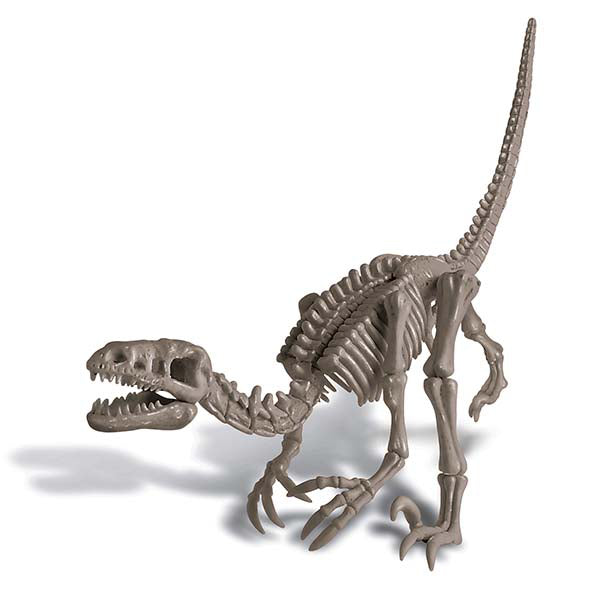 4m-kidz-labs-velociraptor-sk-ton-excav-kit-4m-13234- (2)