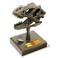 4m-kidzlabs-roaring-t-rex-skull-4m-3399- (2)