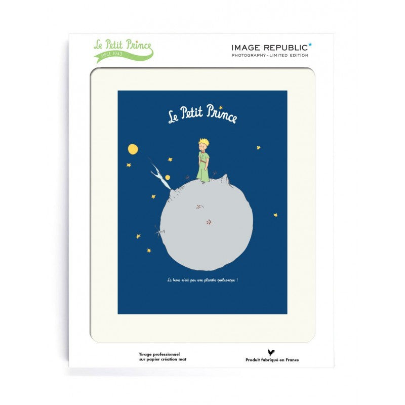 The Little Prince and Earth 30x40cm Art print