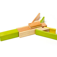 Tegu Jungle Magnetic Wooden Block 14 Pieces